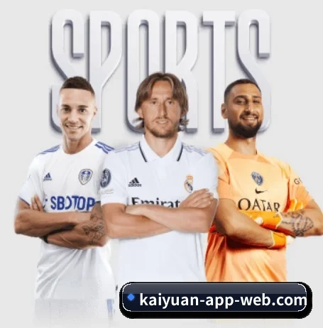 kaiyuan-app-web.com APP