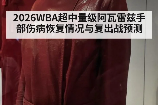 2026WBA超中量级阿瓦雷兹手部伤病恢复情况与复出战预测
